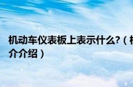 机动车仪表板上表示什么?（机动车仪表盘上表示什么相关内容简介介绍）