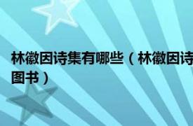 林徽因诗集有哪些（林徽因诗文集 2018年北方文艺出版社出版的图书）