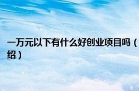 一万元以下有什么好创业项目吗（一万元创业好项目有哪些相关内容简介介绍）