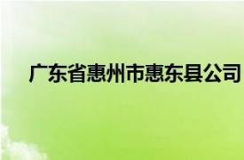 广东省惠州市惠东县公司（惠州市东信集团有限公司）