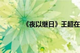 《夜以继日》王超在2004年执导了这部电影