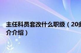 主任科员套改什么职级（20多年的科员如何套改职级相关内容简介介绍）