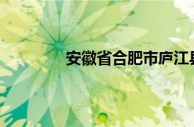 安徽省合肥市庐江县委常委、副县长陈伟