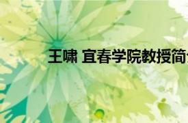 王啸 宜春学院教授简介（王啸 宜春学院教授）