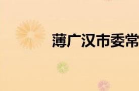 薄广汉市委常委、常务副市长