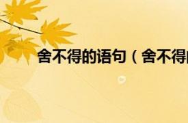 舍不得的语句（舍不得的句子相关内容简介介绍）