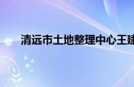 清远市土地整理中心王建军（清远市土地整理中心）