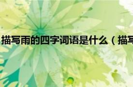 描写雨的四字词语是什么（描写雨的四字词语相关内容简介介绍）