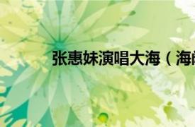 张惠妹演唱大海（海阔天空 张惠妹演唱歌曲）