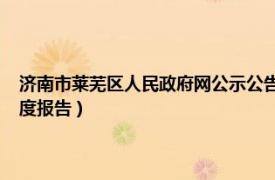 济南市莱芜区人民政府网公示公告栏发布（2008年莱芜市政府信息公开年度报告）