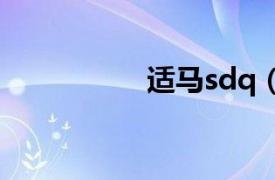 适马sdq（适马SD10）