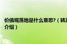 价值观落地是什么意思?（转正价值观落地什么意思相关内容简介介绍）