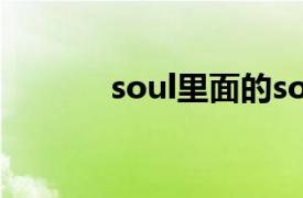 soul里面的souler是什么意思