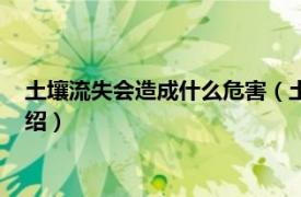 土壤流失会造成什么危害（土壤流失是什么意思相关内容简介介绍）