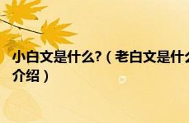 小白文是什么?（老白文是什么意思和小白文的区别相关内容简介介绍）