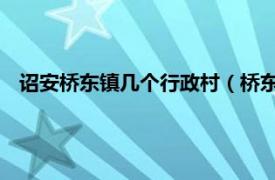 诏安桥东镇几个行政村（桥东镇 福建省漳州市诏安县桥东镇）