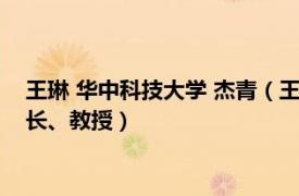 王琳 华中科技大学 杰青（王琳 华中科技大学航空航天学院副院长、教授）