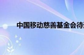 中国移动慈善基金会待遇（中国移动慈善基金会）