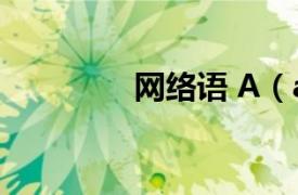 网络语 A（a 网络流行语）