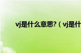 vj是什么意思?（vj是什么意思相关内容简介介绍）