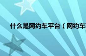 什么是网约车平台（网约车有哪些平台相关内容简介介绍）