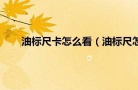 油标尺卡怎么看（油标尺怎么看刻度相关内容简介介绍）