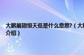 大鹏展翅恨天低是什么意思?（大鹏展翅恨天低下一句是什么相关内容简介介绍）