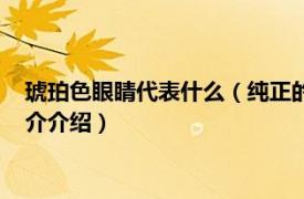 琥珀色眼睛代表什么（纯正的琥珀色眼睛是什么样的相关内容简介介绍）