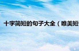 十字简短的句子大全（唯美短句子十字以内相关内容简介介绍）