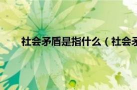 社会矛盾是指什么（社会矛盾是什么相关内容简介介绍）