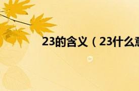 23的含义（23什么意思相关内容简介介绍）