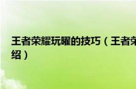 王者荣耀玩曜的技巧（王者荣耀曜的玩法是什么相关内容简介介绍）