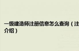 一级建造师注册信息怎么查询（注册一级建造师如何查询系统相关内容简介介绍）