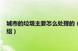 城市的垃圾主要怎么处理的（城市垃圾怎么处理相关内容简介介绍）