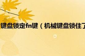 键盘锁定fn键（机械键盘锁住了按fn加什么键相关内容简介介绍）