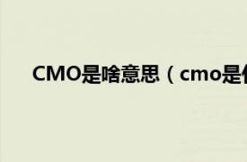 CMO是啥意思（cmo是什么意思相关内容简介介绍）