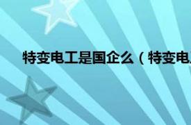 特变电工是国企么（特变电工是国企吗相关内容简介介绍）