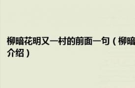 柳暗花明又一村的前面一句（柳暗花明又一村的前一句是什么相关内容简介介绍）