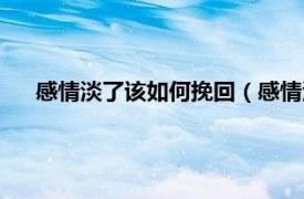 感情淡了该如何挽回（感情淡了怎么办相关内容简介介绍）