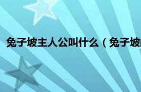 兔子坡主人公叫什么（兔子坡的主人公是谁相关内容简介介绍）