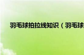 羽毛球拍拉线知识（羽毛球拍拉线方法相关内容简介介绍）