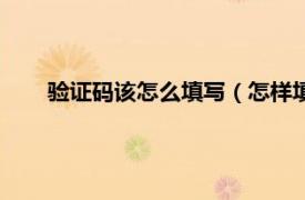 验证码该怎么填写（怎样填写验证码相关内容简介介绍）