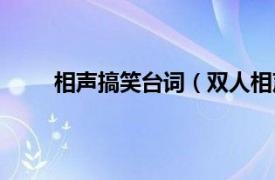 相声搞笑台词（双人相声台词相关内容简介介绍）