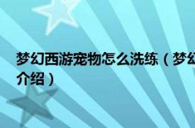 梦幻西游宠物怎么洗练（梦幻西游怎么给宠物洗点相关内容简介介绍）