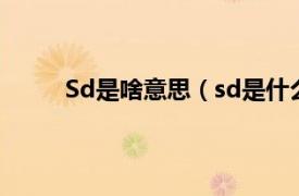 Sd是啥意思（sd是什么意思相关内容简介介绍）