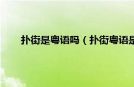 扑街是粤语吗（扑街粤语是什么意思相关内容简介介绍）