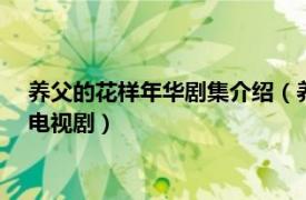 养父的花样年华剧集介绍（养父的花样年华 2014年何群执导的电视剧）