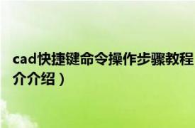 cad快捷键命令操作步骤教程（cad快捷键命令有哪些相关内容简介介绍）