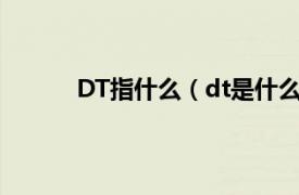 DT指什么（dt是什么意思相关内容简介介绍）