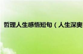 哲理人生感悟短句（人生深奥哲理感悟句子相关内容简介介绍）